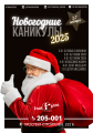 Новогодние каникулы