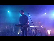 Дельфин_1 29.09.2016